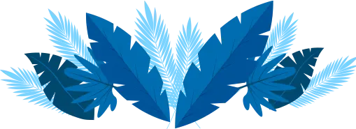 BR