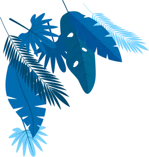 TL